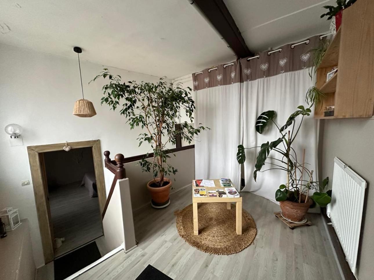 Gite Au Giessen - 1Er Etage Biesheim Buitenkant foto